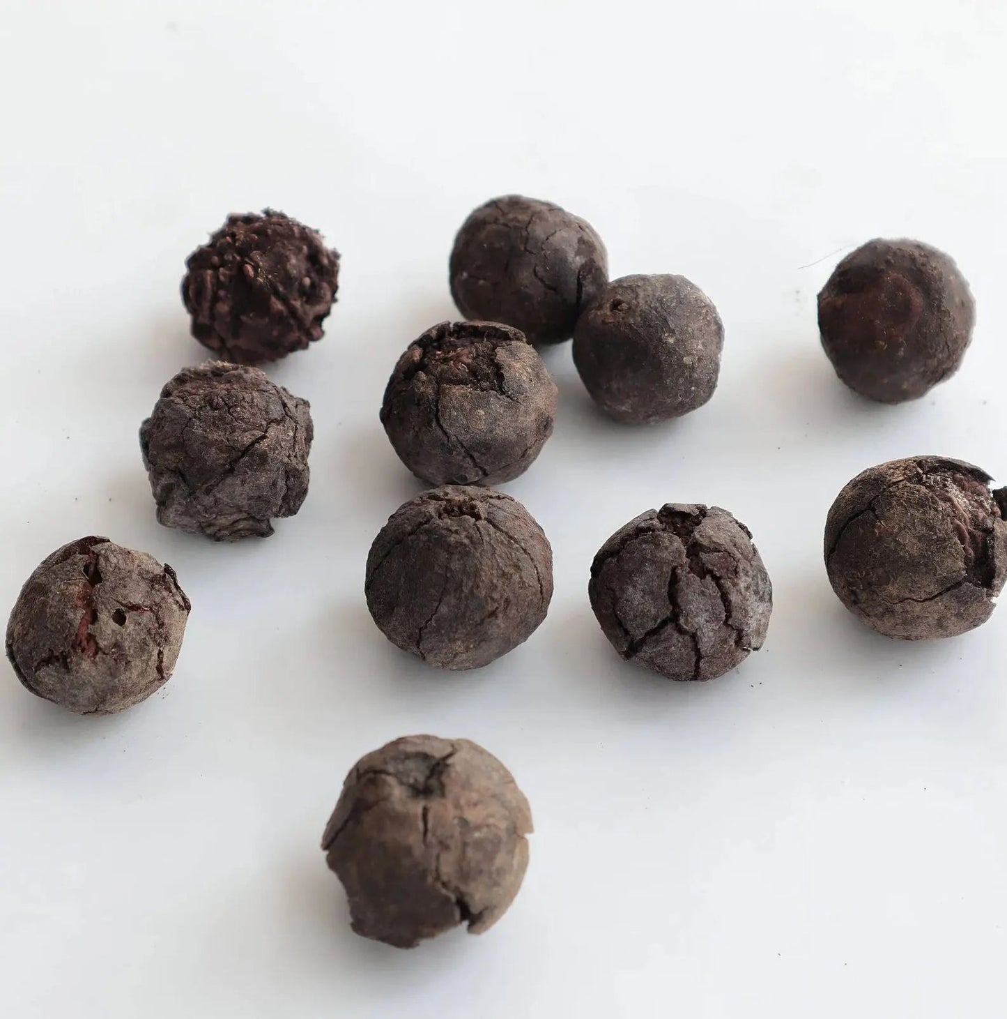 Natural Rudraksha Fruit